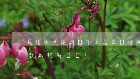 我信用卡逾期還不上怎么辦，信用卡逾期未還款，如何解決？
